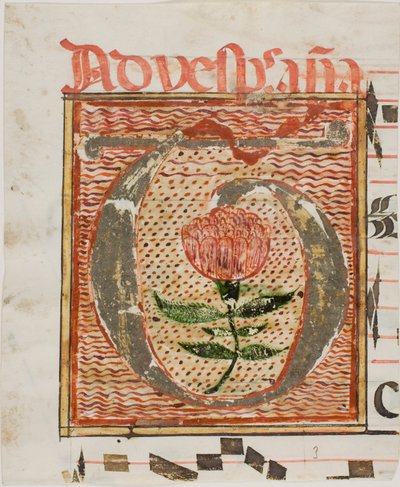 Initiale "T" décorée d