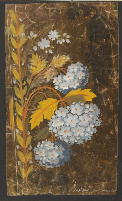 Conception pour une bordure brodée - Unknown artist