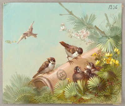 Conceptions pour papiers peints et textiles : Fleurs et oiseaux - Unknown artist