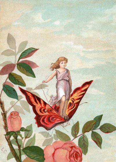 Fée chevauchant un papillon parmi les roses - Unknown artist