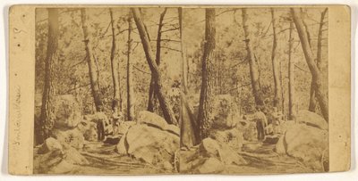 [Fontainebleau] - Unknown artist