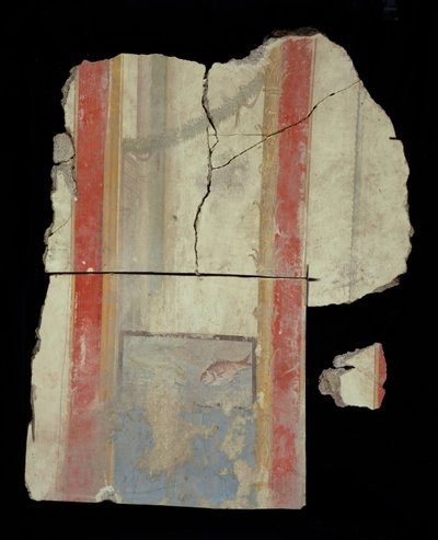 Fragment frais - Unknown artist