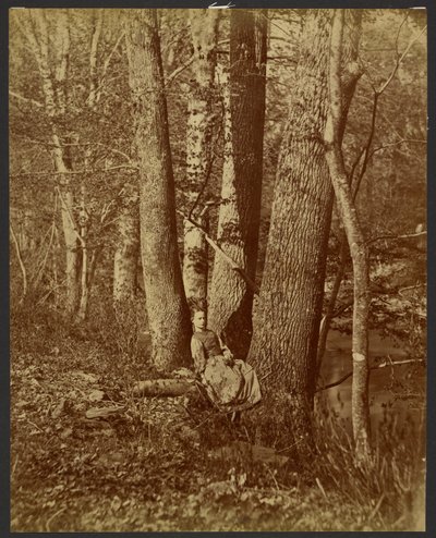 [Fille assise entre deux arbres] - Unknown artist
