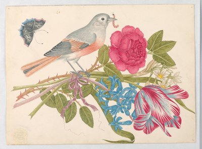 Oiseau gris et corail sur bouquet avec rose, tulipe, marguerites et myosotis, avec papillon - Unknown artist