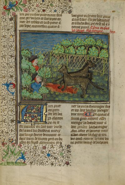 Les chasseurs attirent les loups avec des charognes - Unknown artist