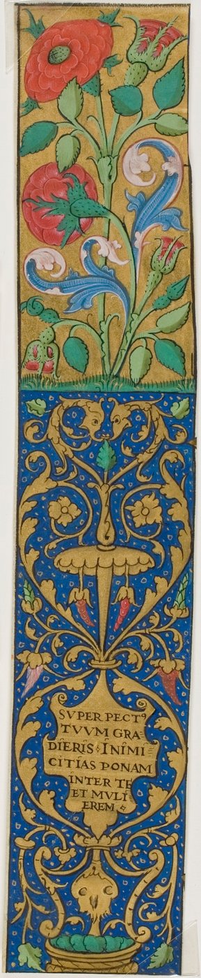 Bordure enluminée avec Flore et Grotesques d
