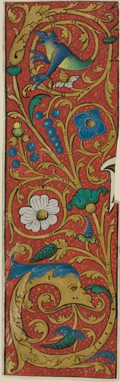 Bordure enluminée avec grotesques et flore d