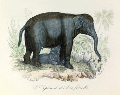 Illustration d