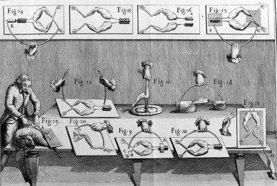 Illustration des expériences de Luigi Galvani, physicien et médecin italien (1737 - 1798) expliquant le passage du courant électrique faisant bouger les pattes d
