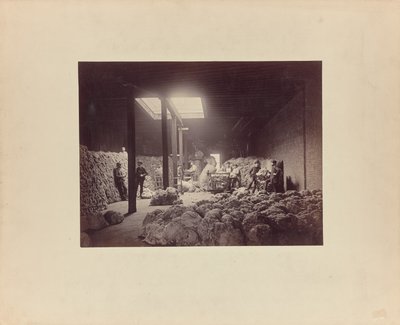 [Intérieur du centre de triage de la laine, Walter Brown and Company]. - Unknown artist