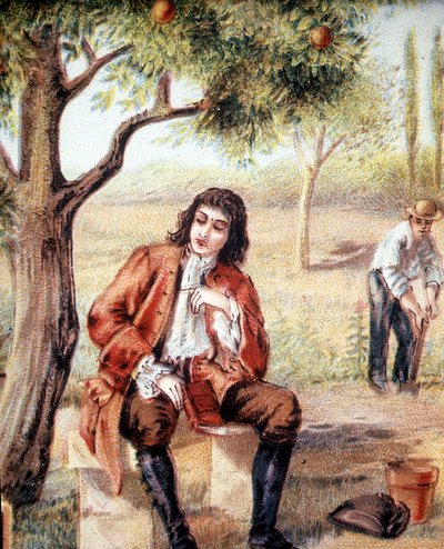 Isaac Newton (1642-1727), mathématicien, physicien et astronome anglais, découvre la théorie de la gravitation en observant la chute d