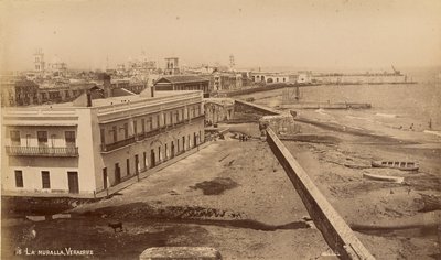 La Muralla, Veracruz - Unknown artist