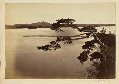 [Paysage avec lac et arbres] - Unknown artist