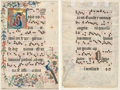 Feuille d