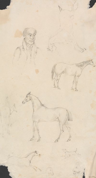 Homme, chevaux et chiens - Unknown artist