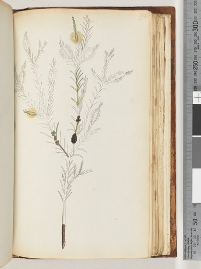 Page 192. D