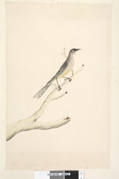 Page 60. Juin. Réduit à l