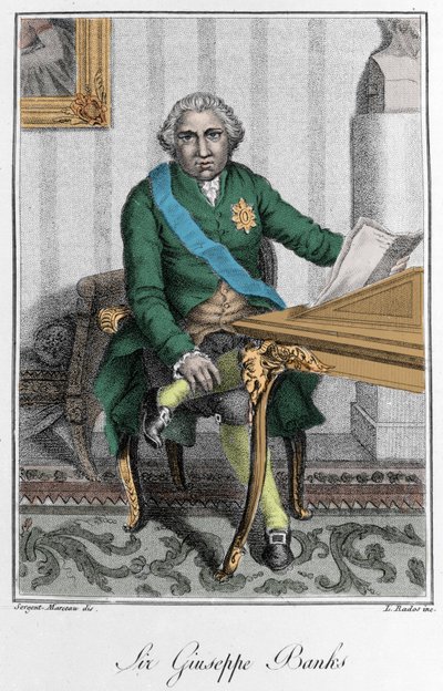 Portrait de Sir Joseph Banks (1743-1820), explorateur et naturaliste anglais. Gravure en couleur - Unknown artist