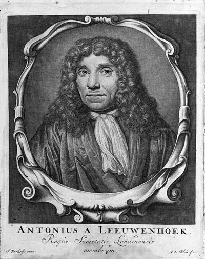Portrait du commerçant et érudit néerlandais Antoine van Leeuwenhoek (1632-1723). Gravure de "Investigatio Arcanorum" 1722 - Unknown artist