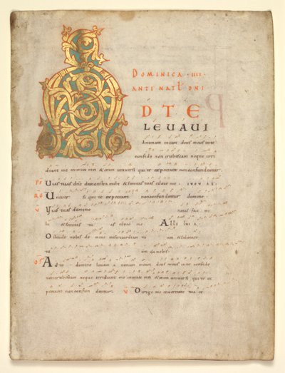 Feuille Unique Excisée d