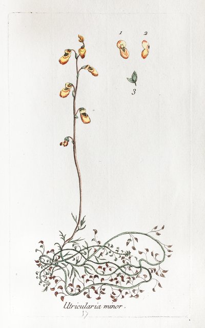  - Unknown artist