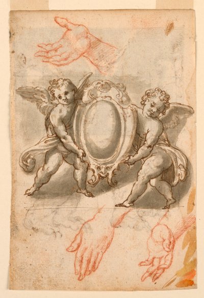 Études de mains et putti avec un écusson - Unknown artist
