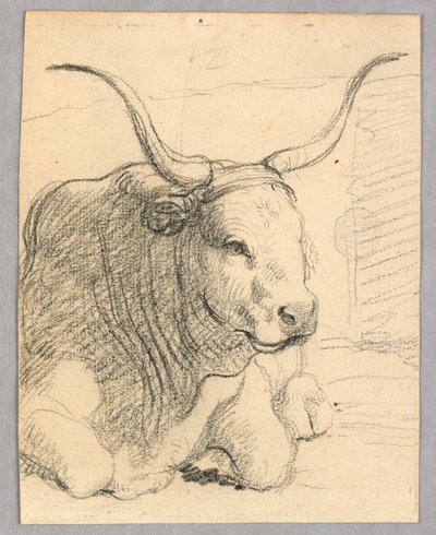 Étude : une vache couchée - Unknown artist