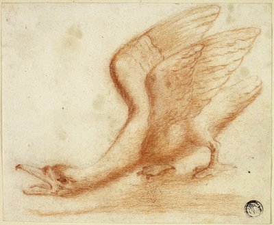 Cygne - Unknown artist