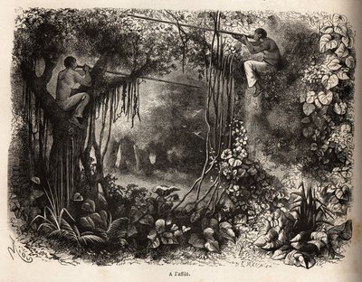 Les Indiens Yahua du Pérou à l