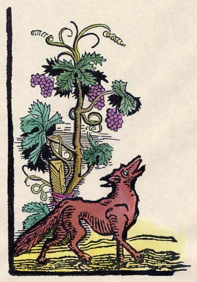Le renard et les raisins. Fable d