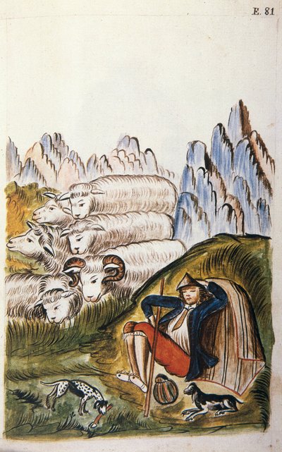 Le berger et son troupeau de moutons, du livre "Trujillo del Perú" ou "Codex Martínez Compañón", par Baltazar Martínez Compañón y Bujanda, évêque de Trujillo (1782-1785) - Unknown artist