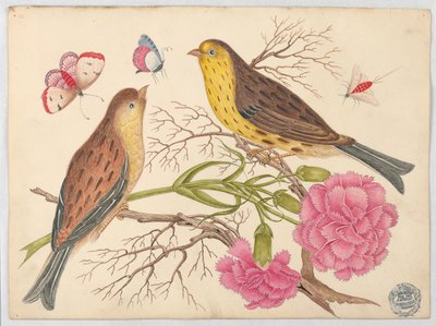 Deux Oiseaux Brun-et-Jaune sur des Branches avec Œillets et Insectes - Unknown artist