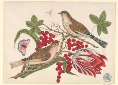Deux oiseaux bruns sur une branche avec tulipe, baies et insectes - Unknown artist