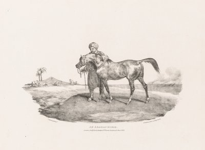 Divers sujets dessinés d
