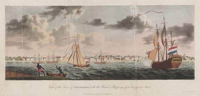 Vue de la ville de Paramaribo, avec la route et les navires depuis la rive opposée - Unknown artist
