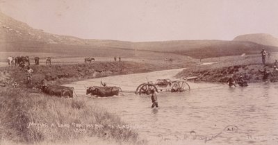 Canon traversant une rivière pendant la guerre des Boers - Unknown photographer