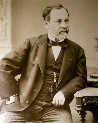 Portrait of Louis Pasteur (photo) - Unknown photographer
