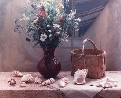 Nature morte aux fleurs sauvages et aux coquillages - UstinaGreen