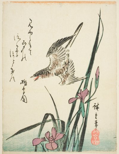 Coucou volant au-dessus des iris - Utagawa Hiroshige