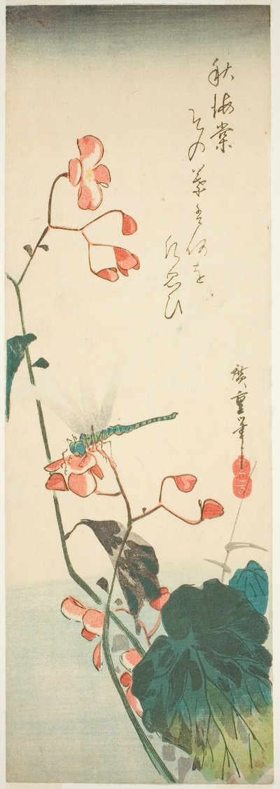 Libellule et bégonia - Utagawa Hiroshige