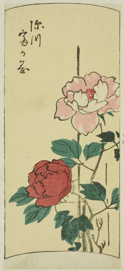 Fukagawa Tomigaoka, section d