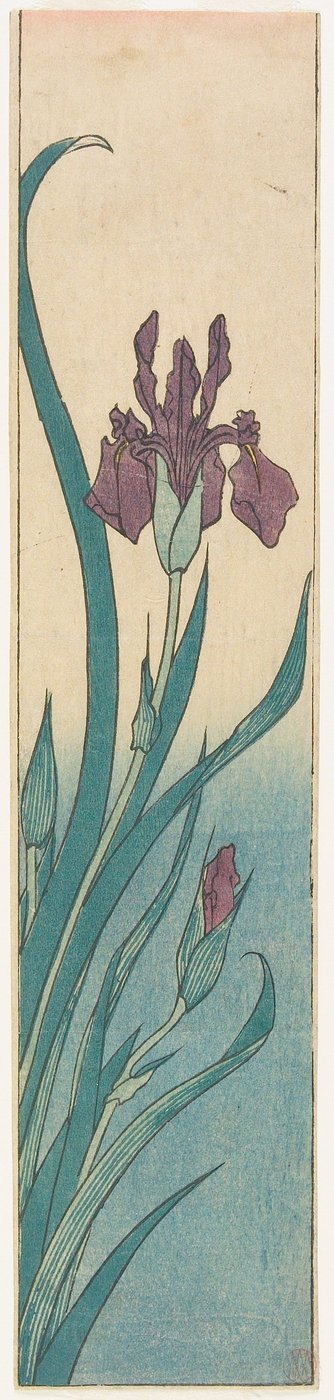 Iris - Utagawa Hiroshige