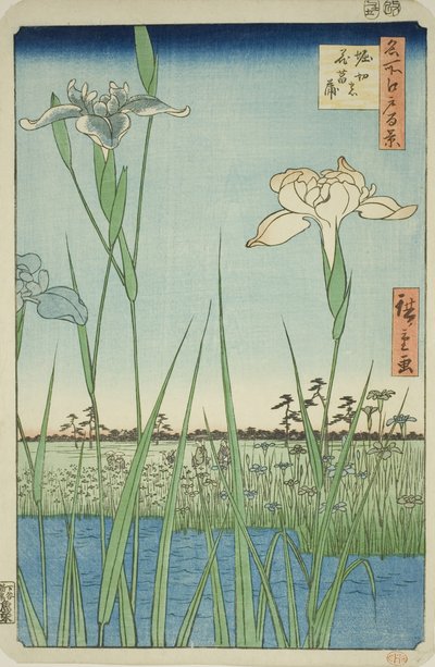 Iris à Horikiri (Horikiri no hanashobu), de la série "Cent vues célèbres d