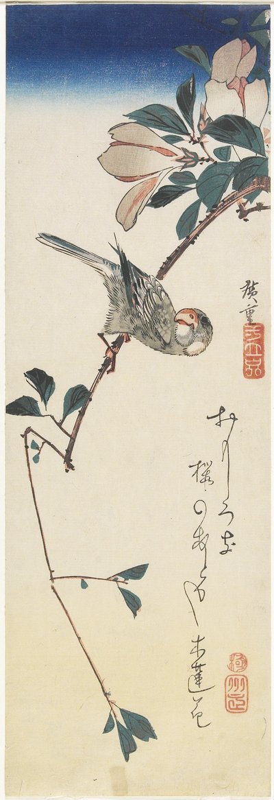 Moineau de Java et magnolia, 1834-1839 - Utagawa Hiroshige