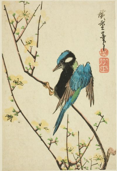 Moineau de Java sur une branche de cerisier - Utagawa Hiroshige