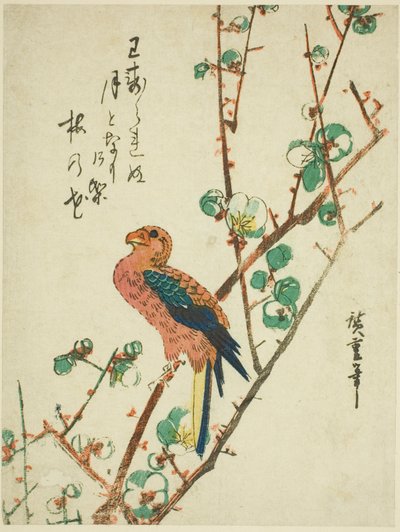 Perroquet sur un Prunier - Utagawa Hiroshige