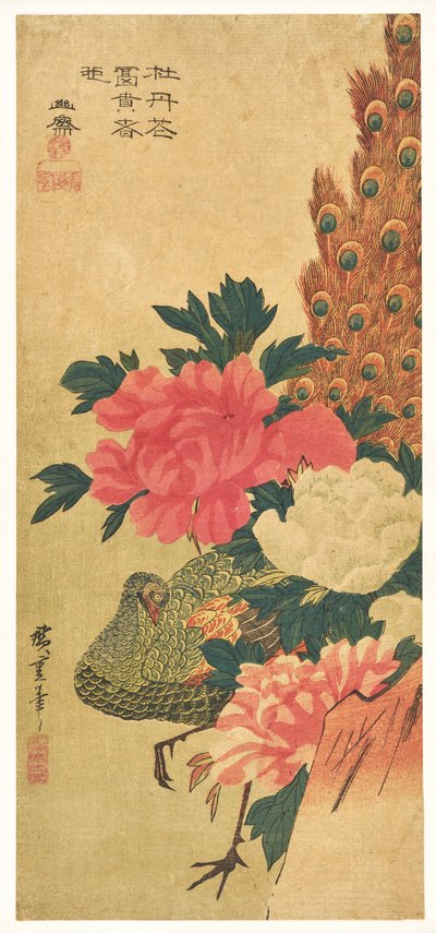 Pivoines et paon - Utagawa Hiroshige