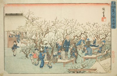 Le Jardin des pruniers à Komeido (Kameido ume yashiki no zu), de la série "Lieux célèbres de la capitale orientale (Toto meisho)" - Utagawa Hiroshige