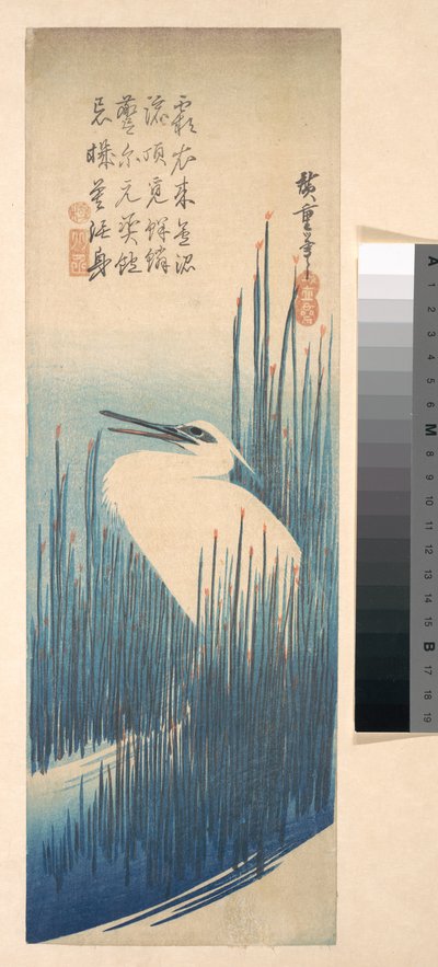 Weißer Reiher zwischen Schilf - Utagawa Hiroshige