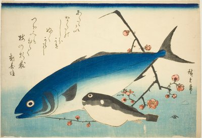 Sériole, poisson-globe et branche de prunier - Utagawa Hiroshige